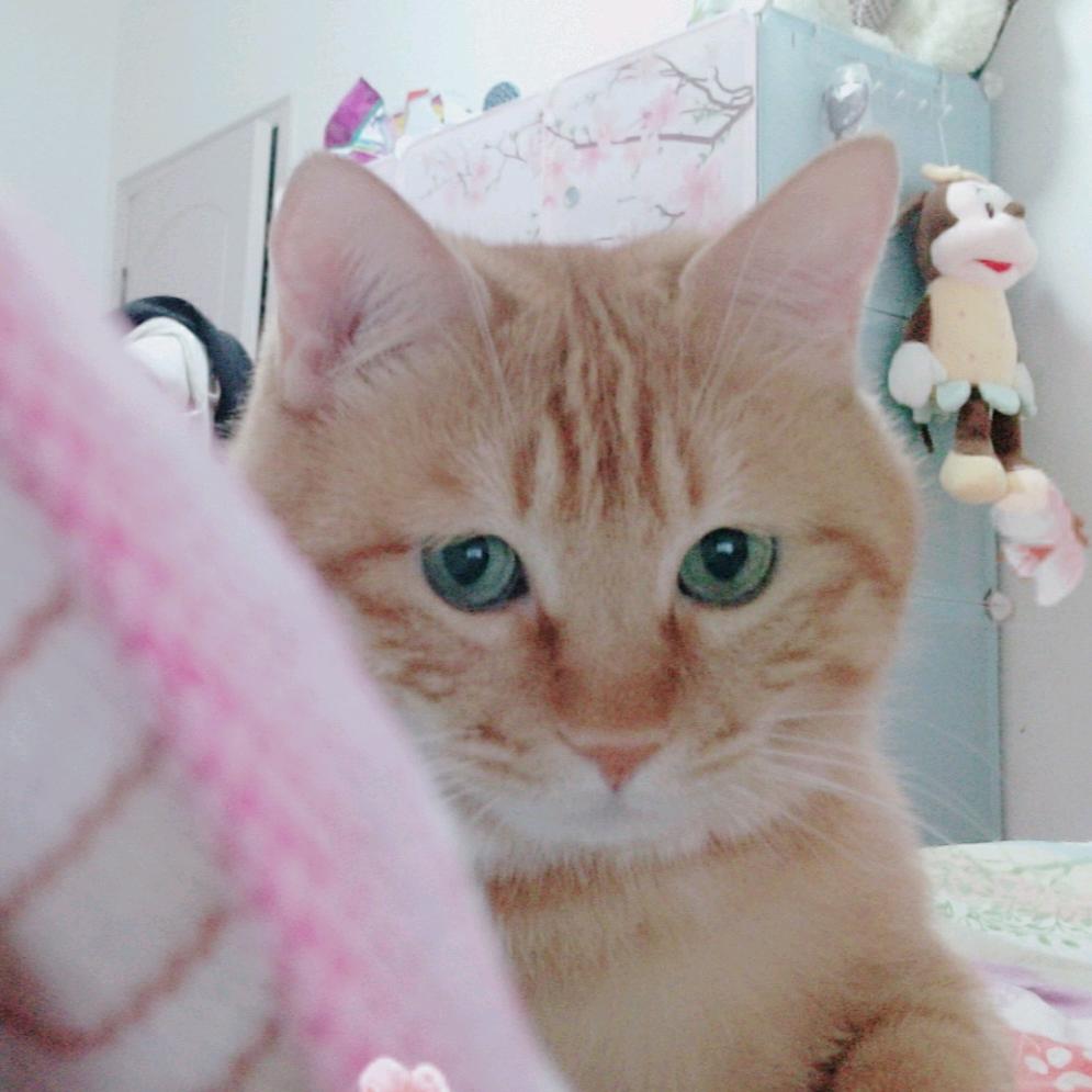 coco