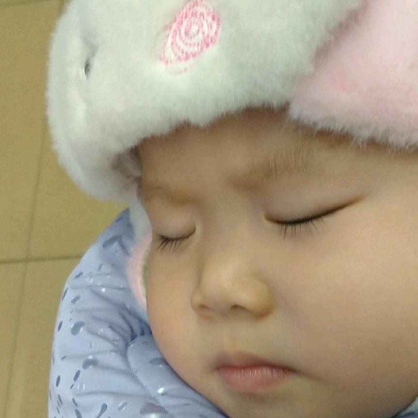 网事如梦