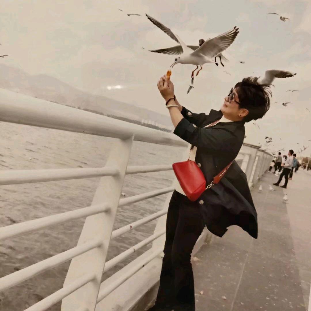 心☞诚《陈》☞则《林》