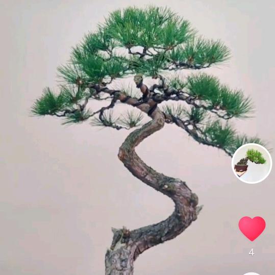 刹一脚...