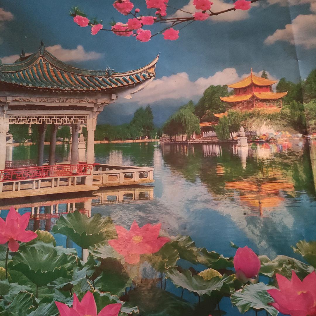 人生本来就一无所有！何俱从头再来！