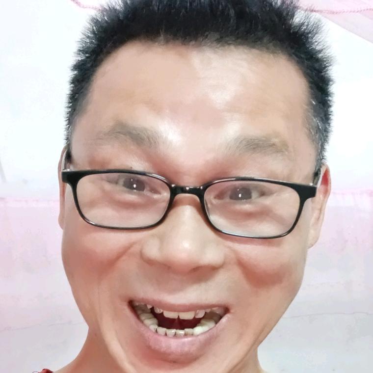皮皮海哥