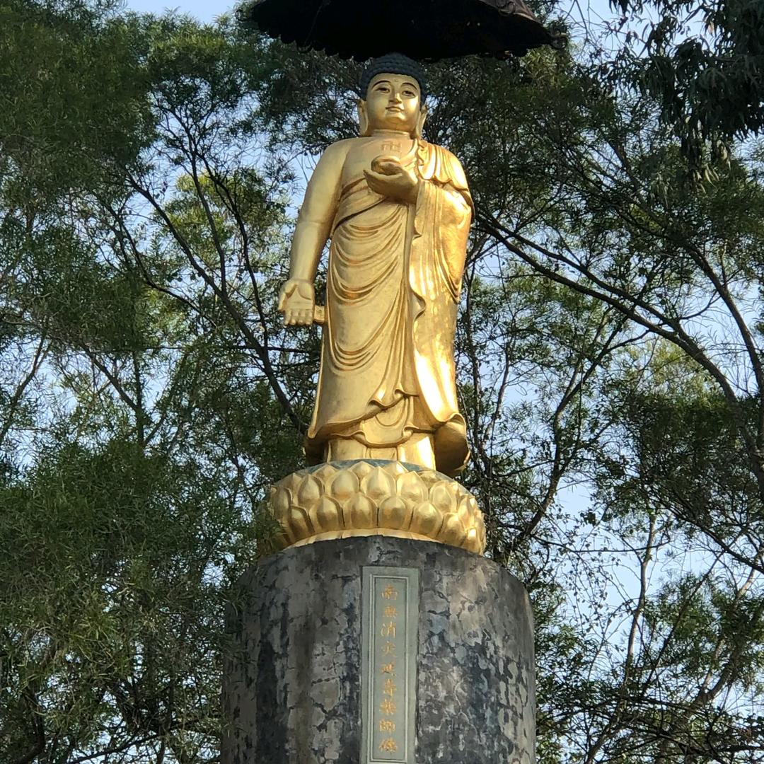 禅语人生