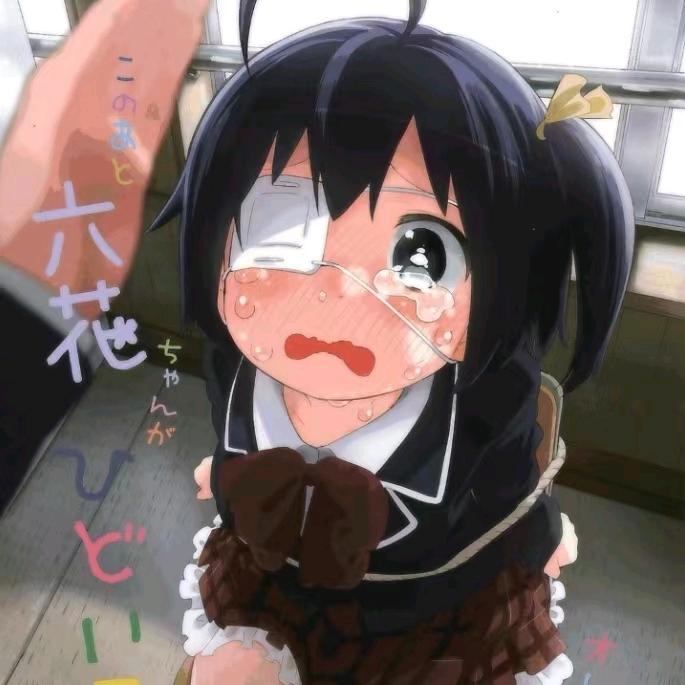 晴野青木
