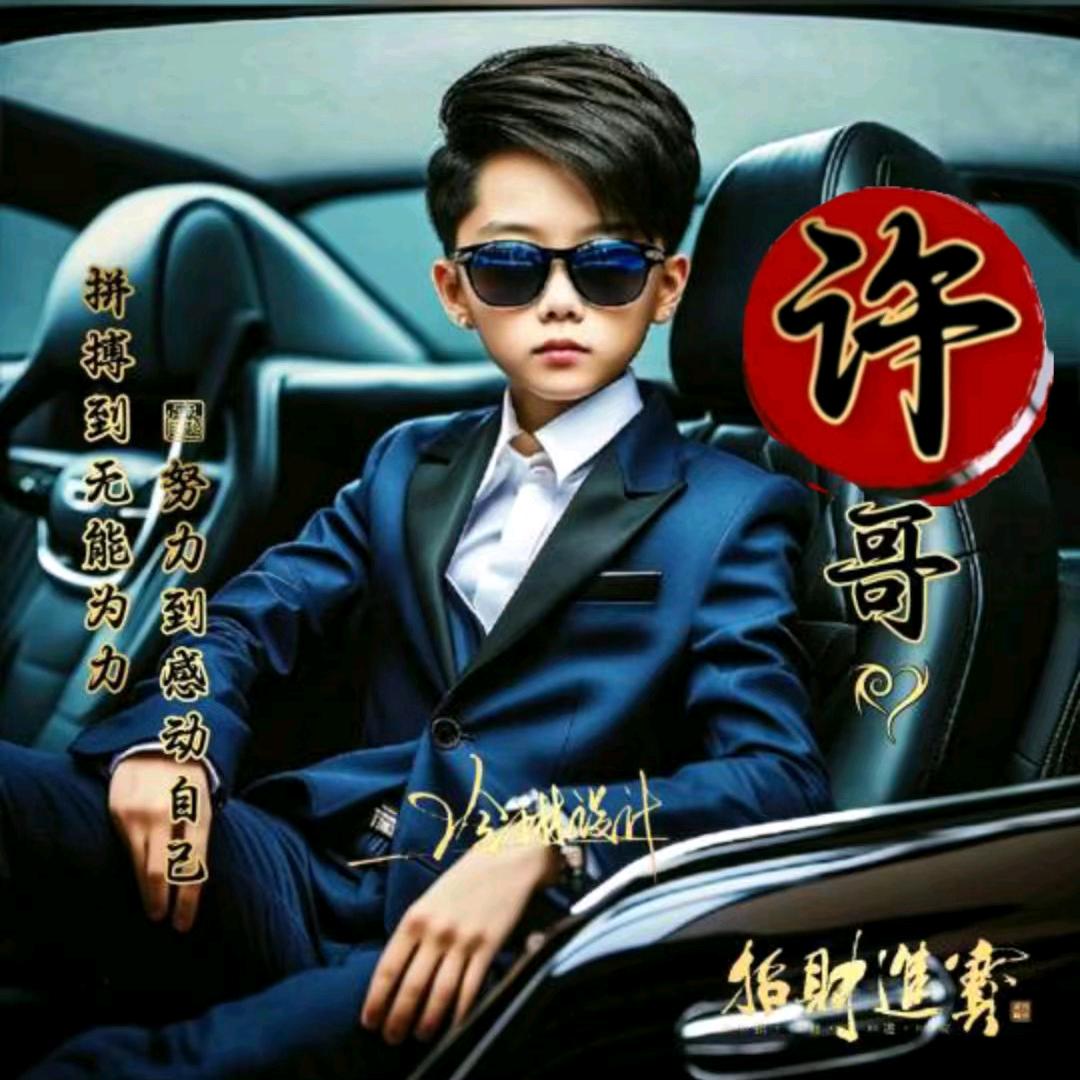 天啸傲龙飞