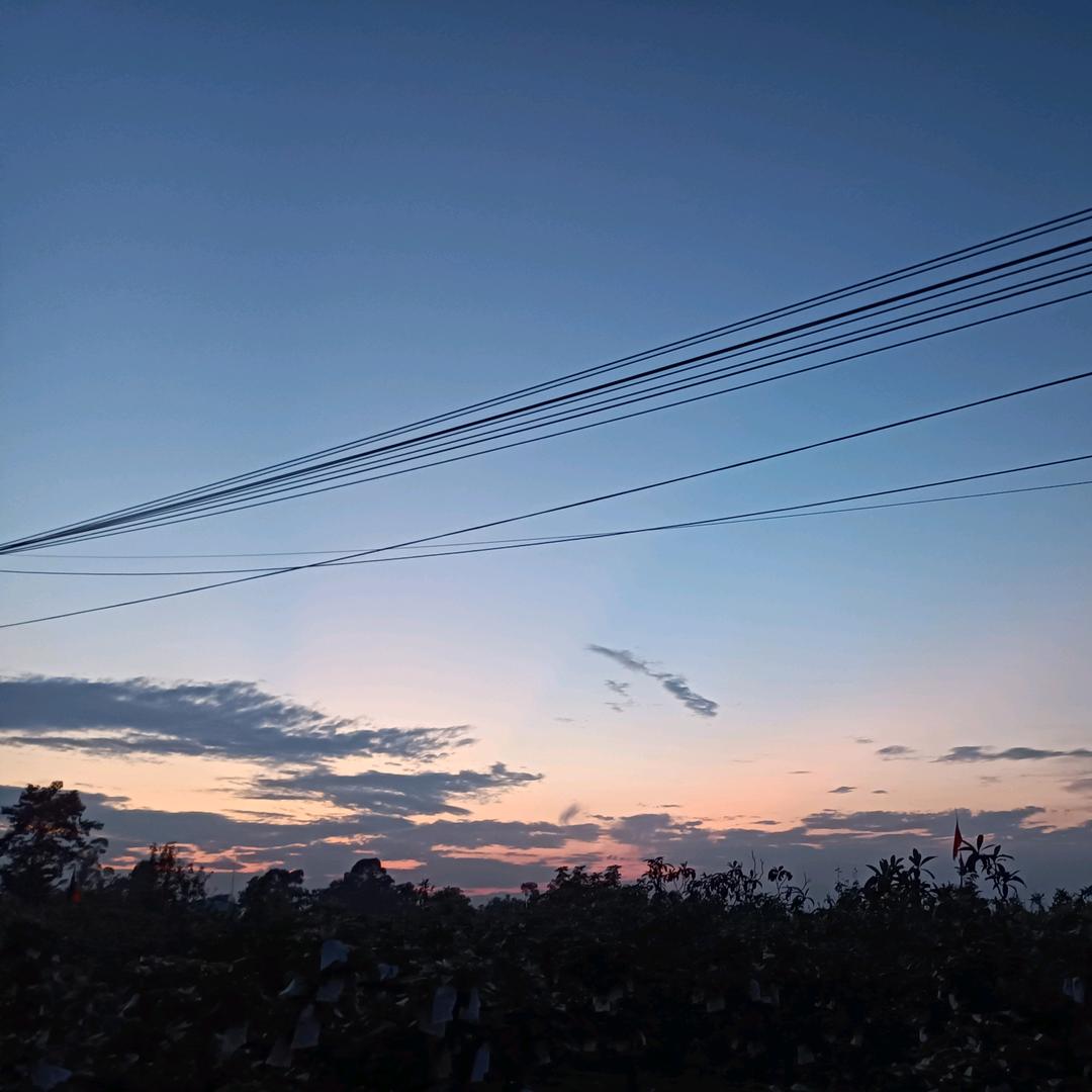 蜗牛为梦想而生