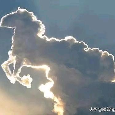 龙马精神