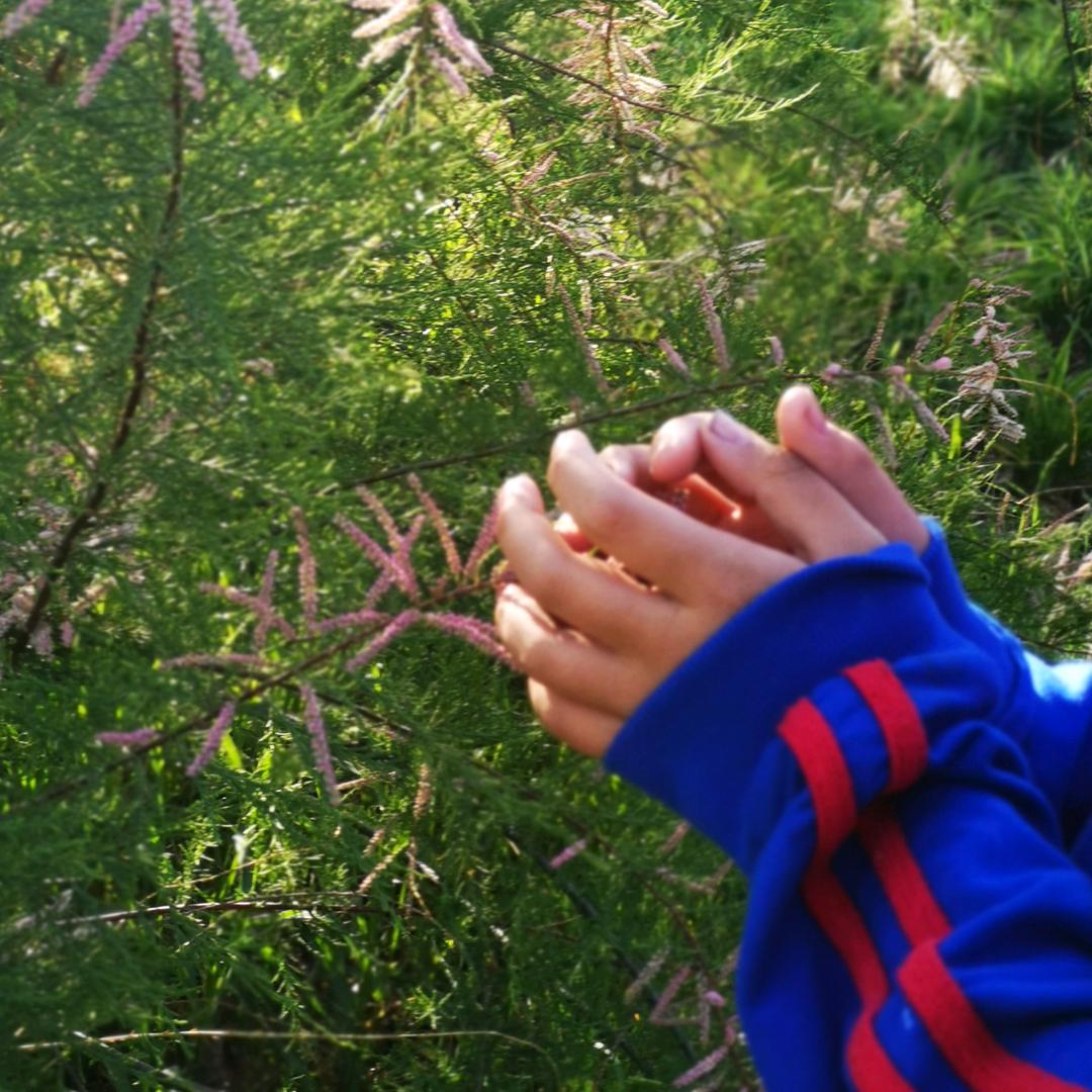 暖暖暖暖爱