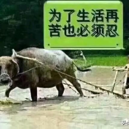 随缘