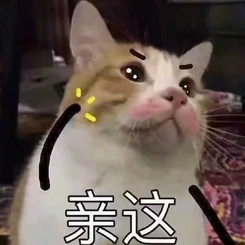 仓鼠🐹