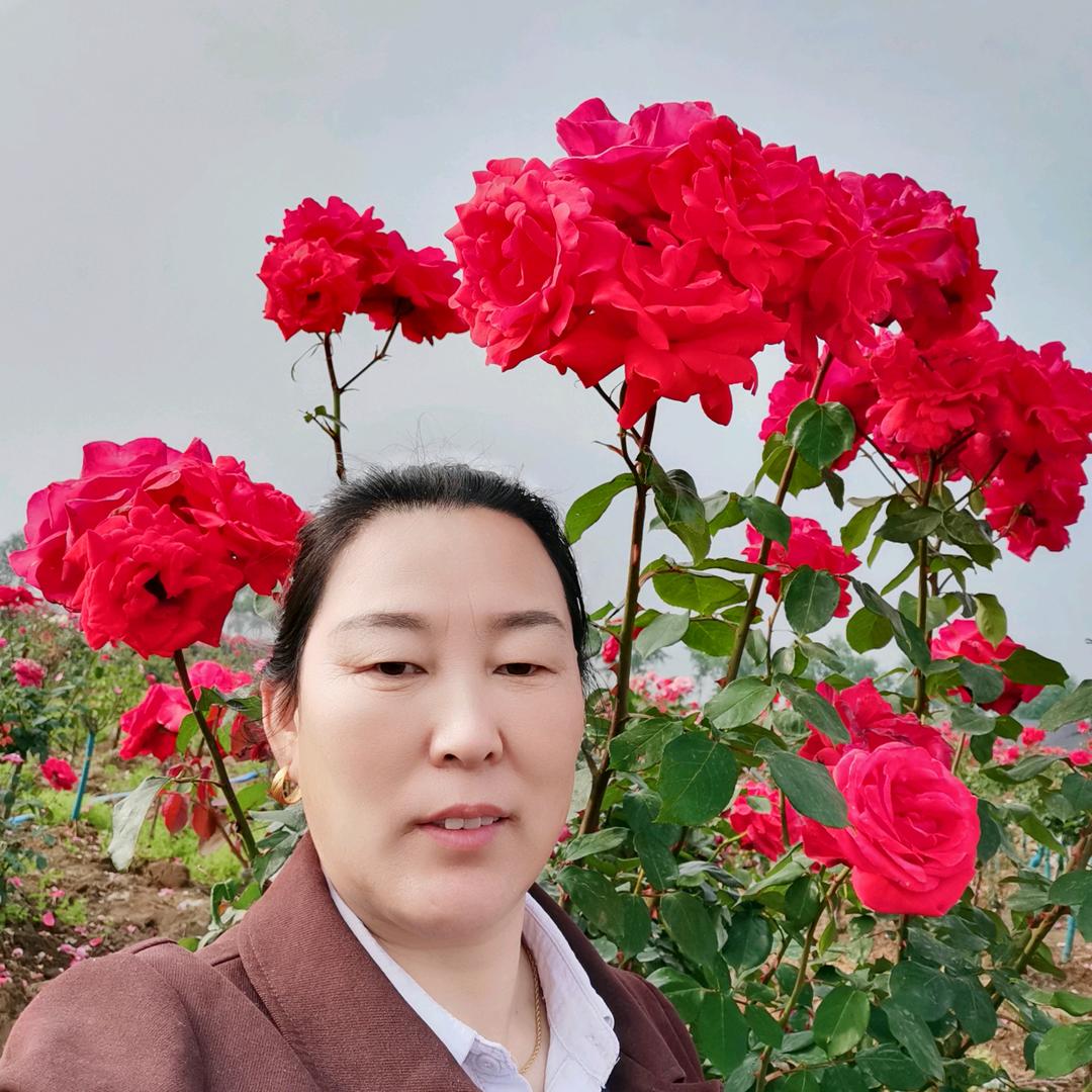 浪漫季节