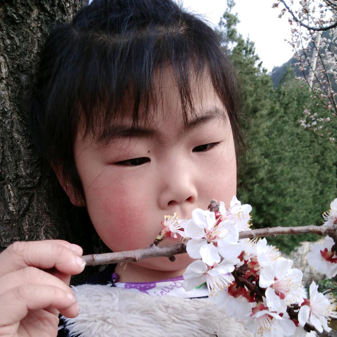 铁血丹心