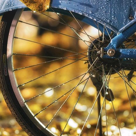 t、xiaoyu的朋友圈