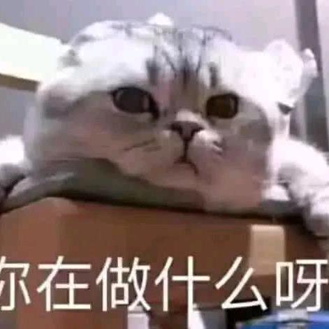 与狼*共舞