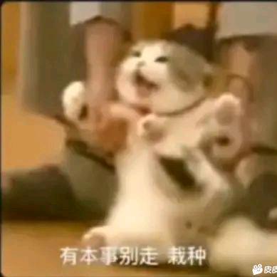 一六六数码