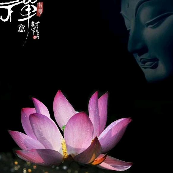 自在