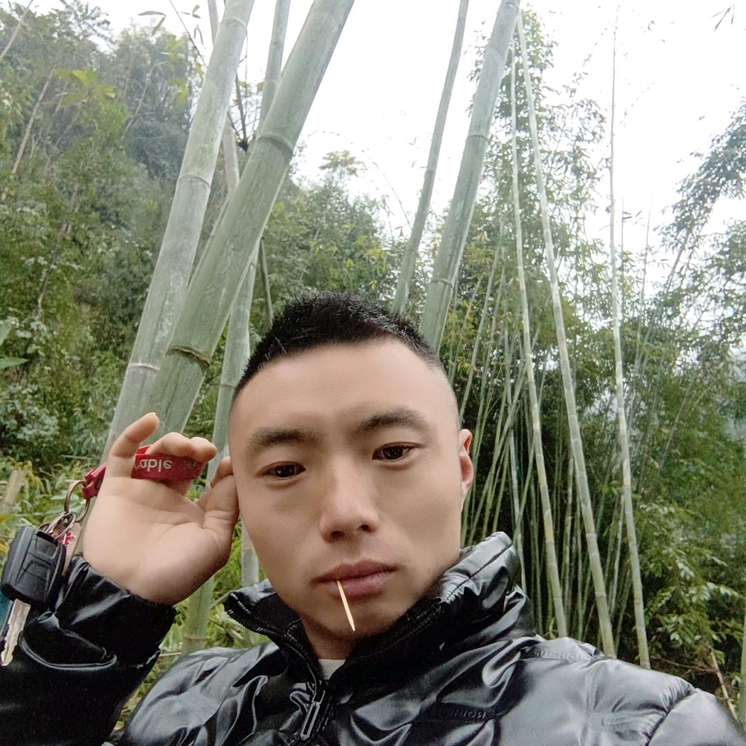 森森货运