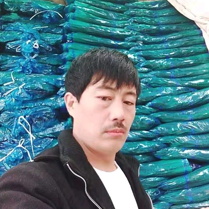 森林中独行
