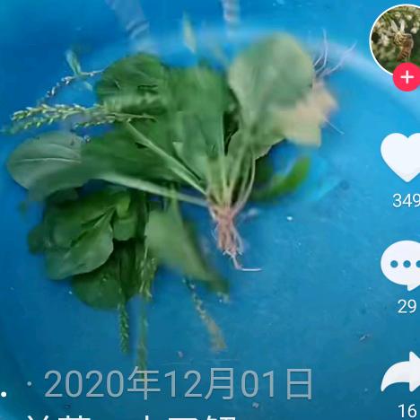 缘