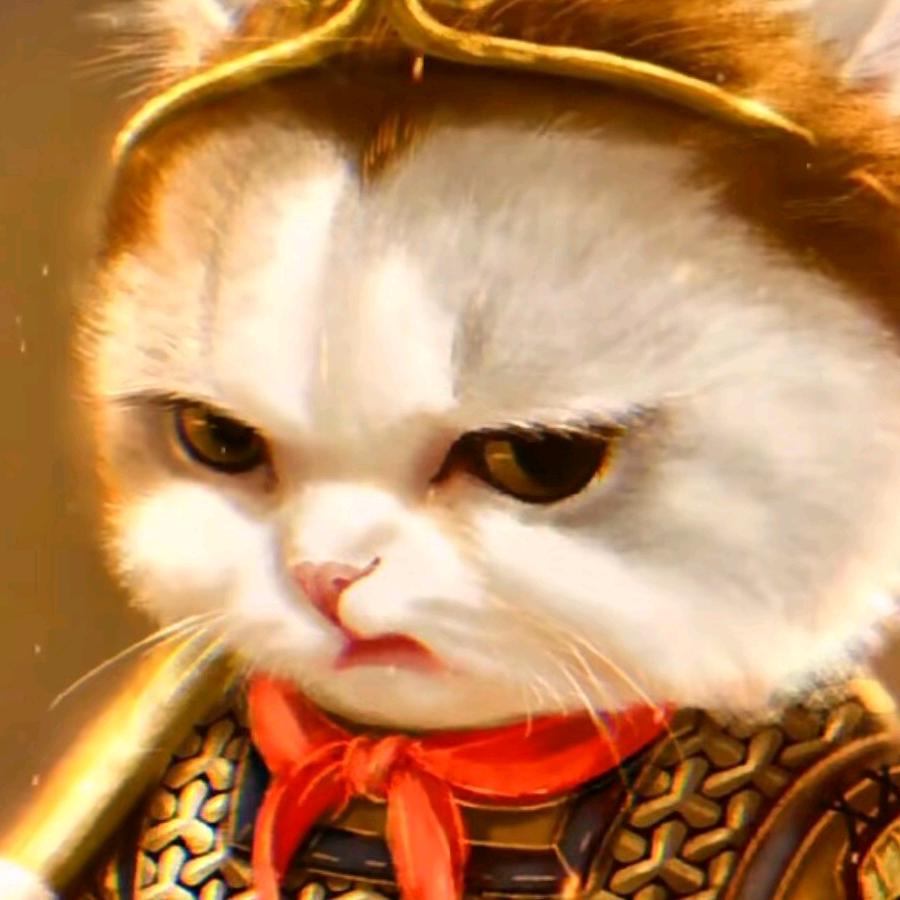 宝哥