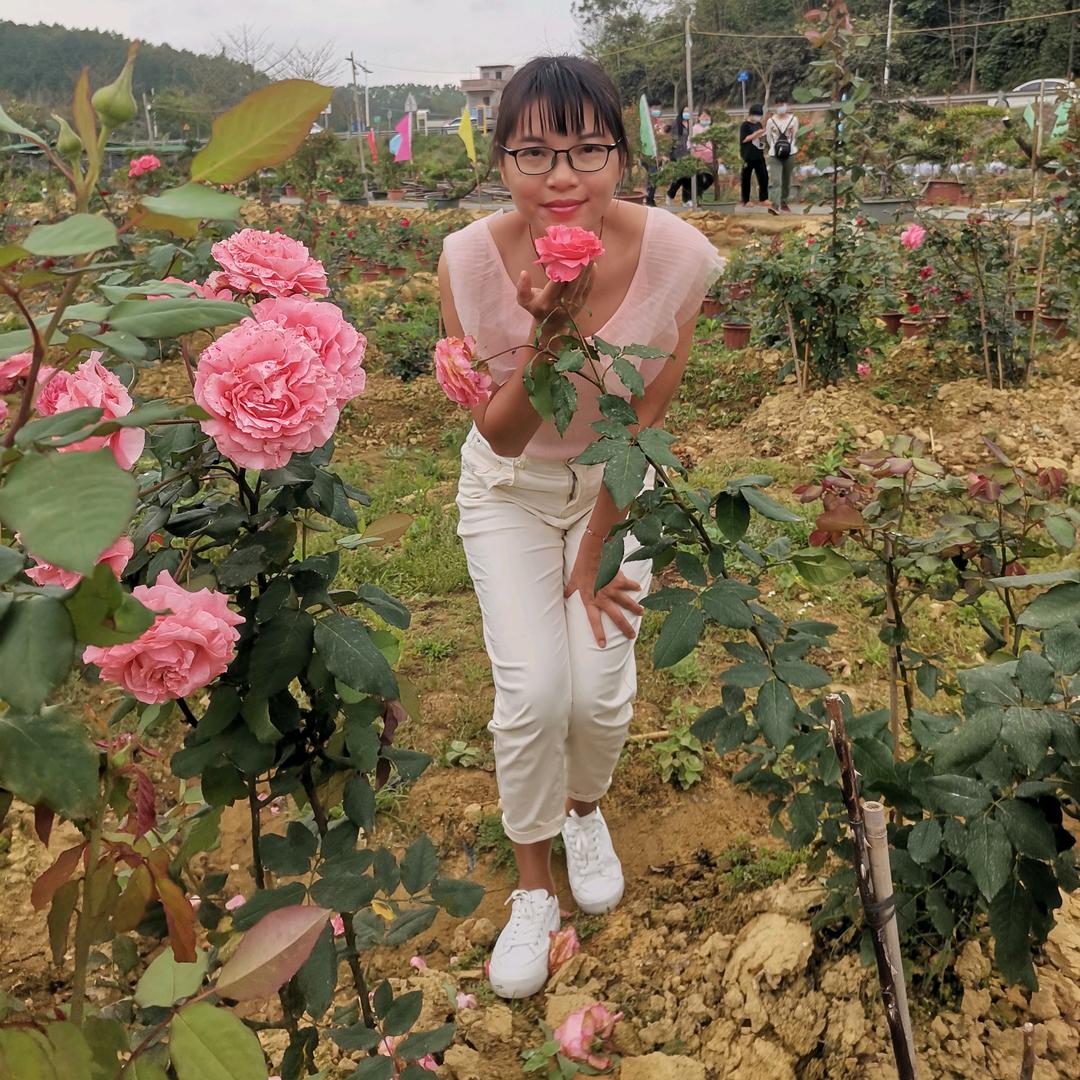 梅子芳林