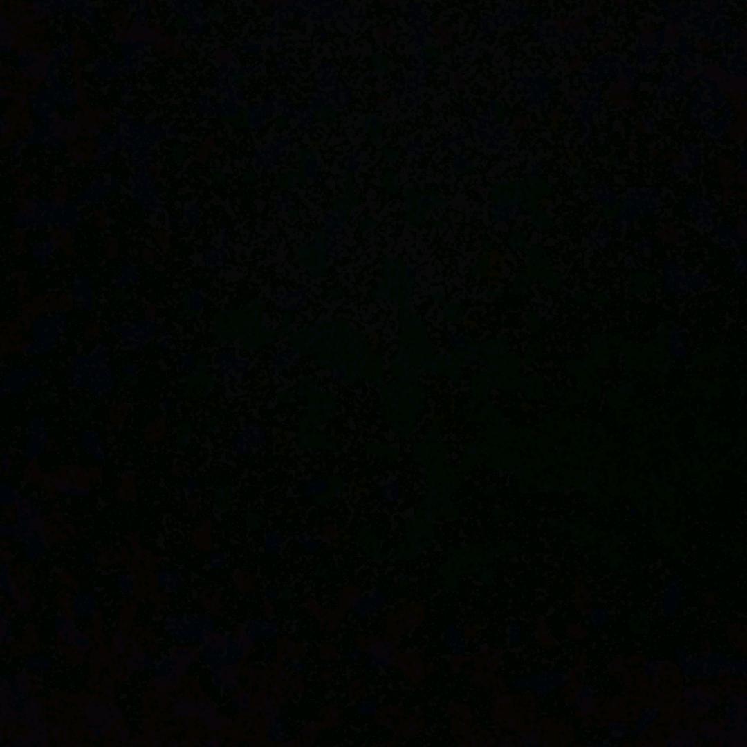 归期可爱