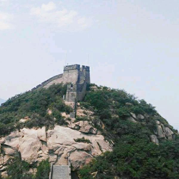 金元元电子商务