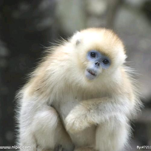 ￴ ￴￴ ￴￴￴ ￴￴ ￴ ￴ ￴￴