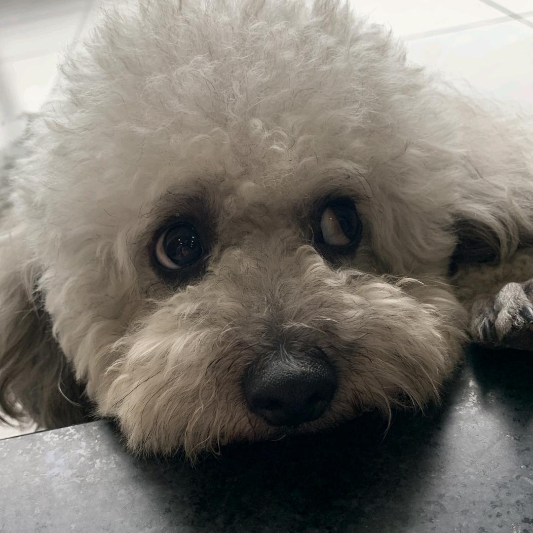 慧