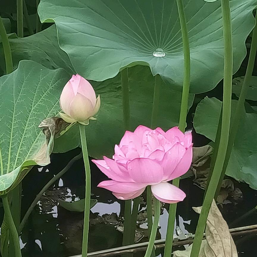 春暖花开