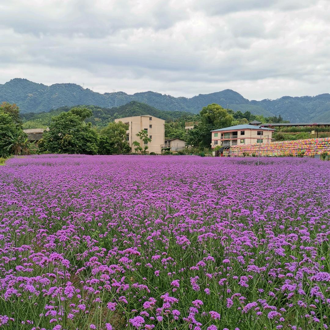 福建味道
