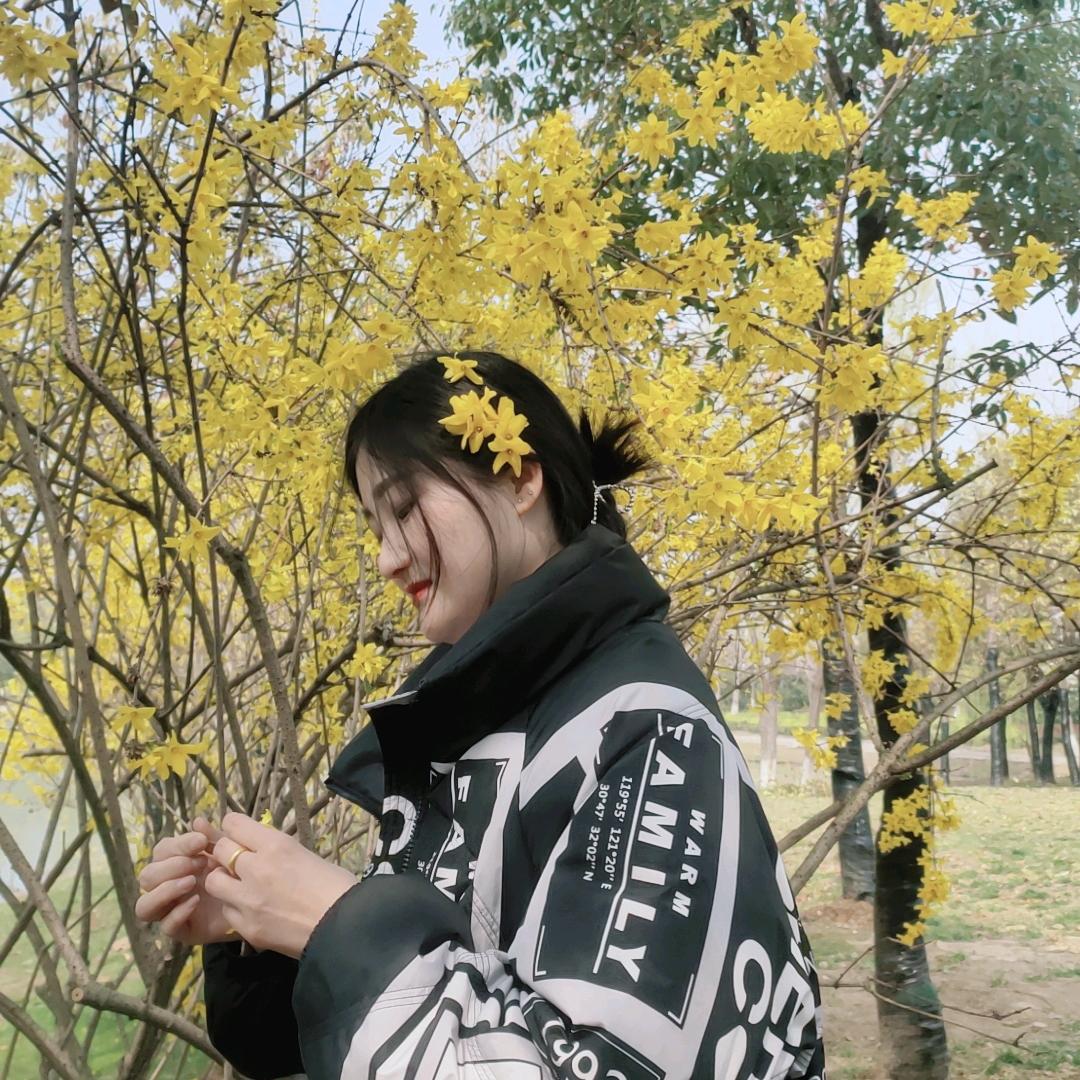 小清清