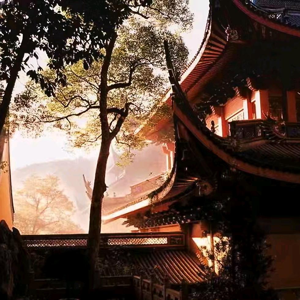 步尘清风（手机摄影）