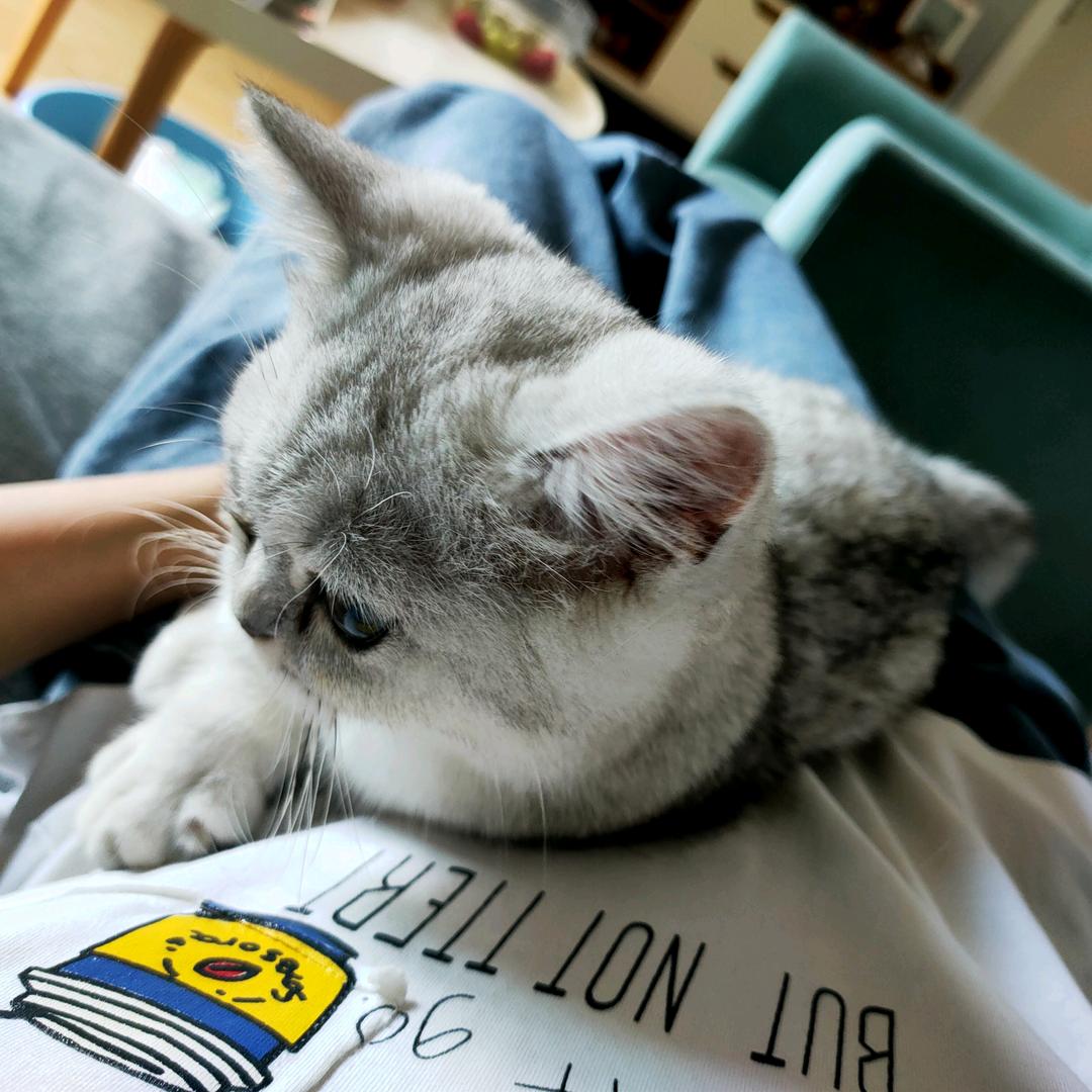 阿娇的颜狗