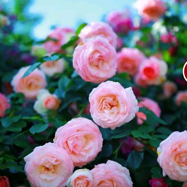 留慈长升水暖厨卫