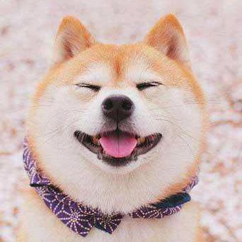 🌈莫拾坠欢🌈