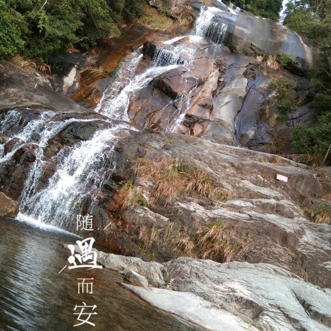 鸡歌ඡ·̯ඡ ¹⁵₁₉