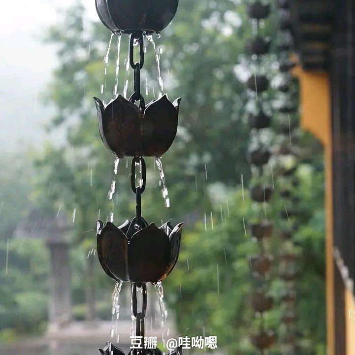 博士拧螺丝
