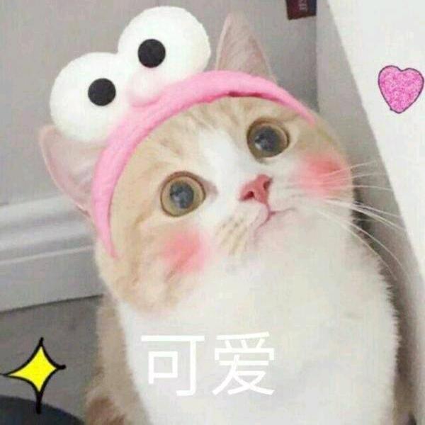 被丢弃的我