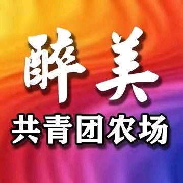 醉美共青团农场