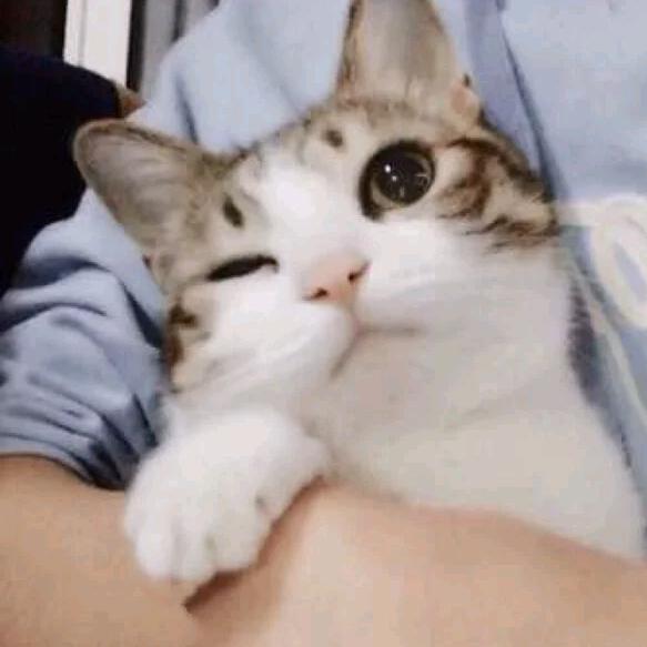 ༺༃诗༒星༃༻