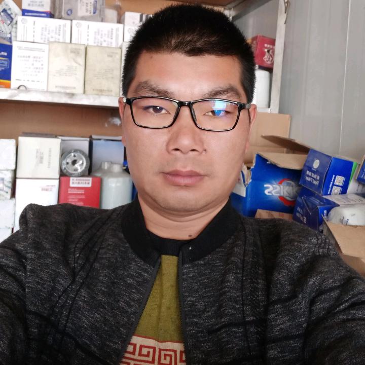 师宗老郭电喷尿素泵增压器维修