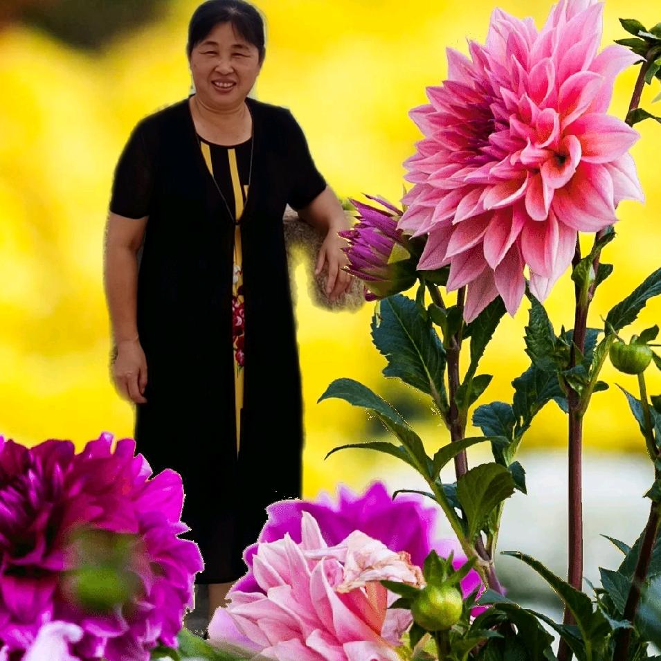 桂英姐