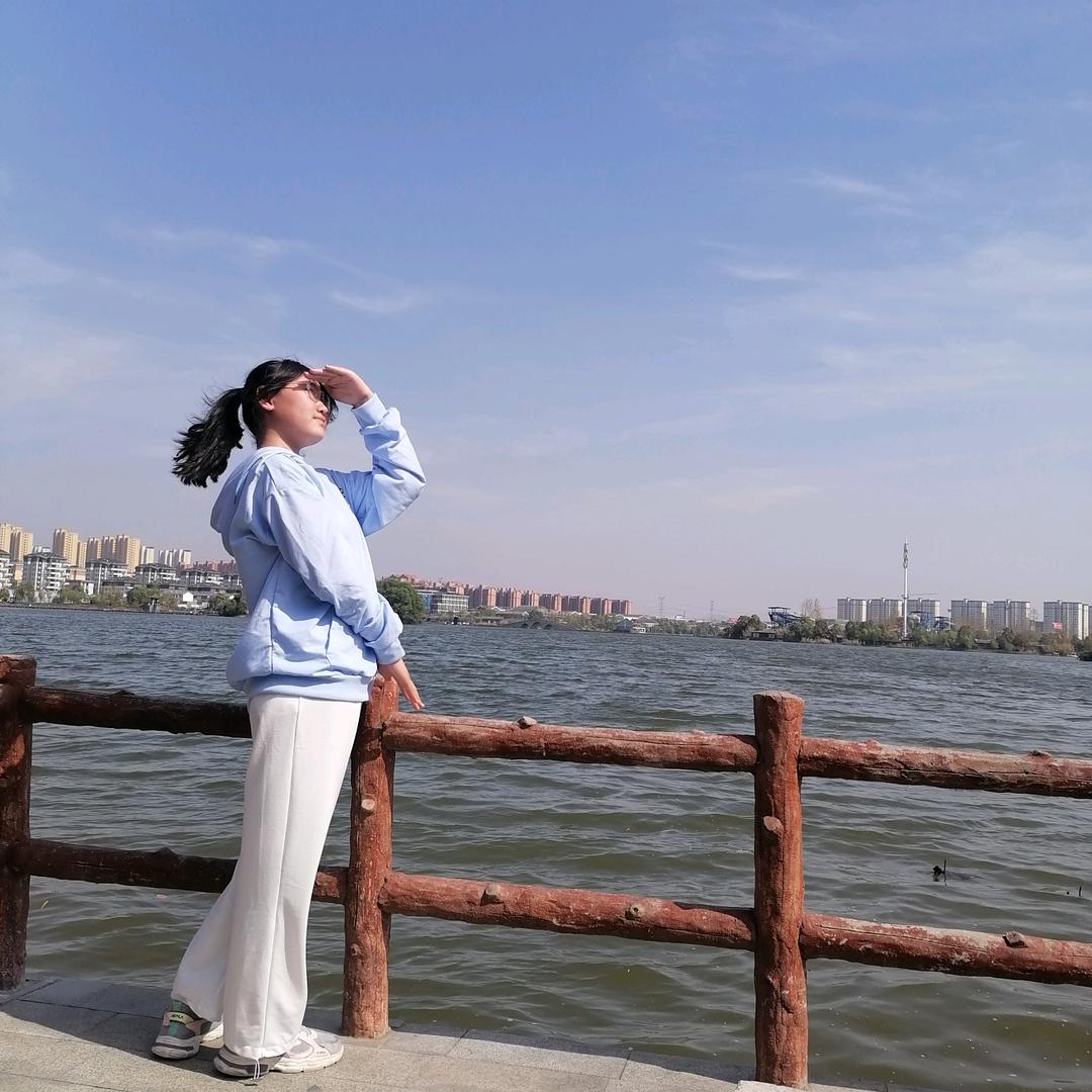 一日之计在于陈女士