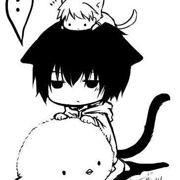 🍃 白嫖看直播