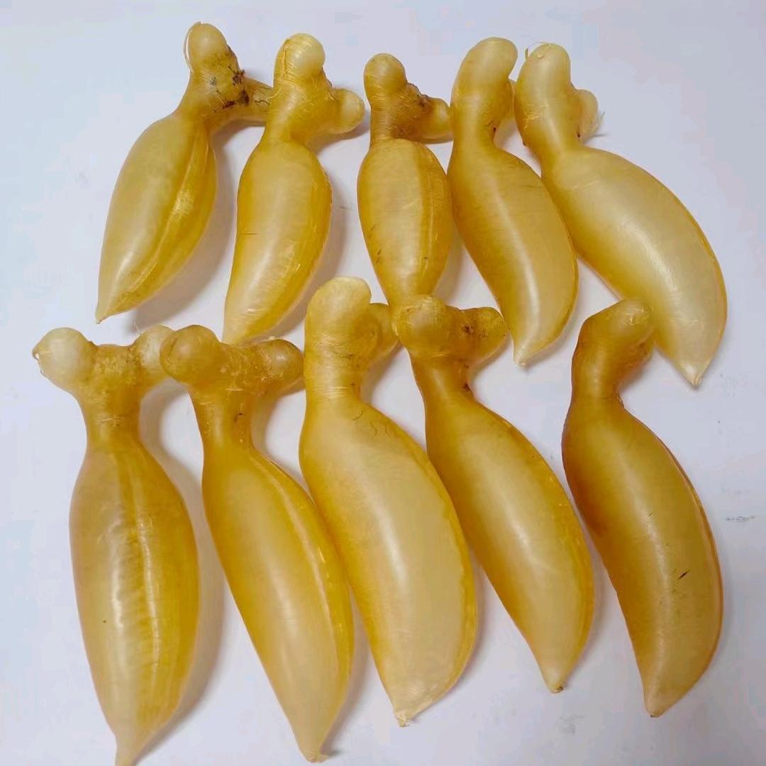 文光枝姐鱼胶店