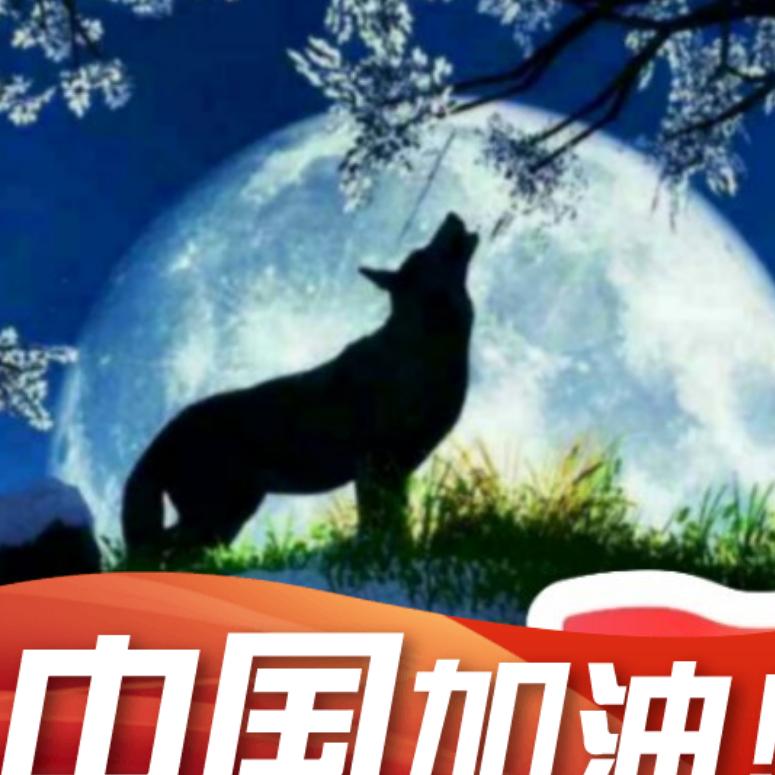 飞虎神鹰