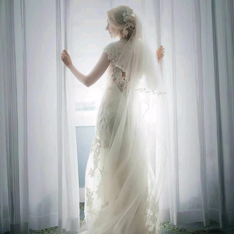 乌达-VV女装（店铺号）