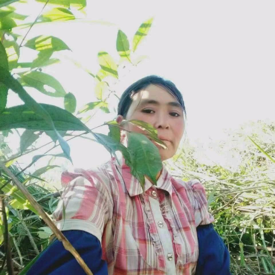 天天好运