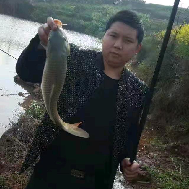 飛